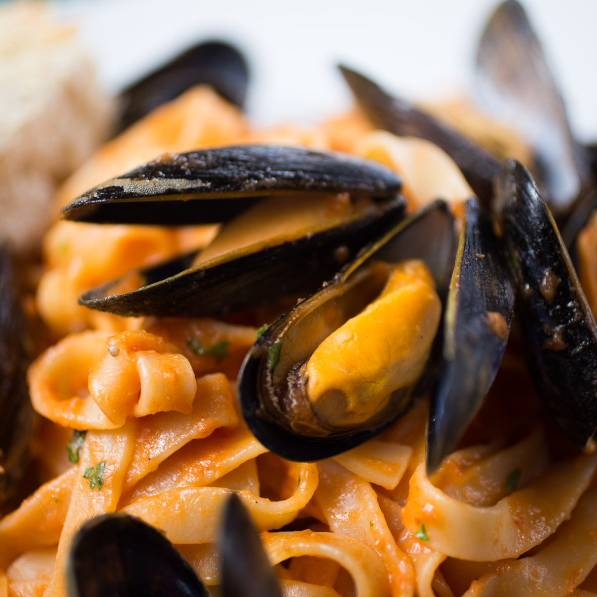 Tagliatelle with blue mussels